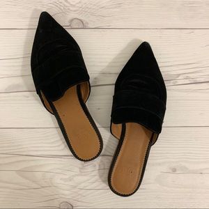 Franco Sarto Black Suede Mules
